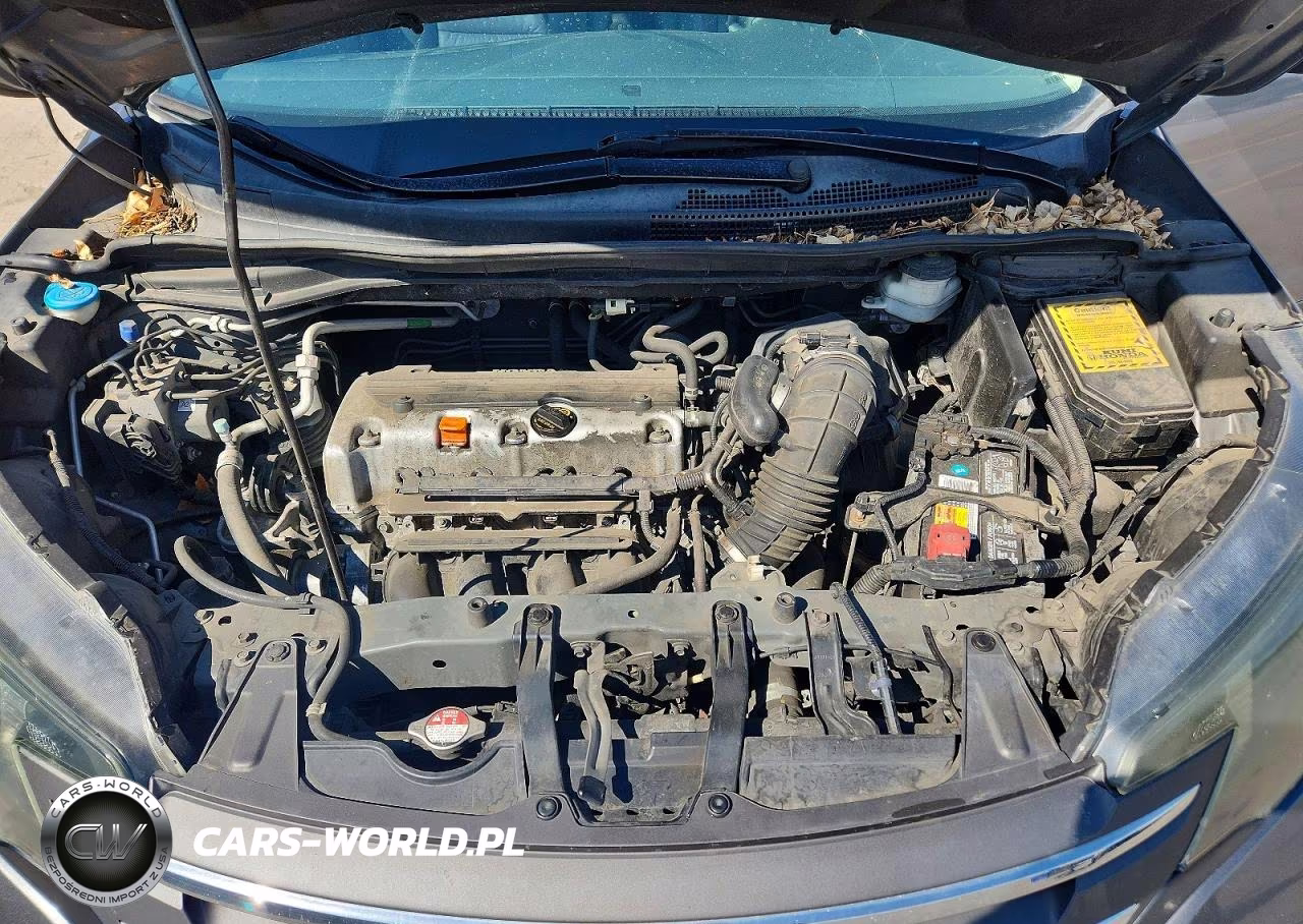 2014 Honda Cr-V Exl VIN:2HKRM4H79EH650430 - 12