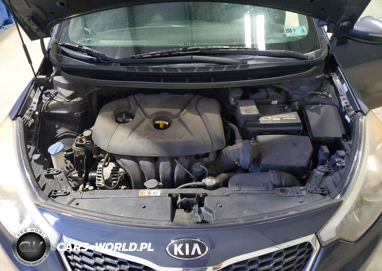 2015 Kia Forte Lx VIN:KNAFX4A67F5423148 - 11