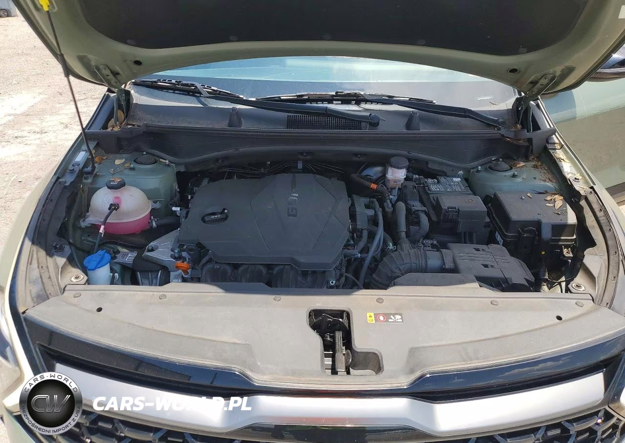 2023 Kia Sportage X Line VIN:5XYK6CAF0PG092386 - 12