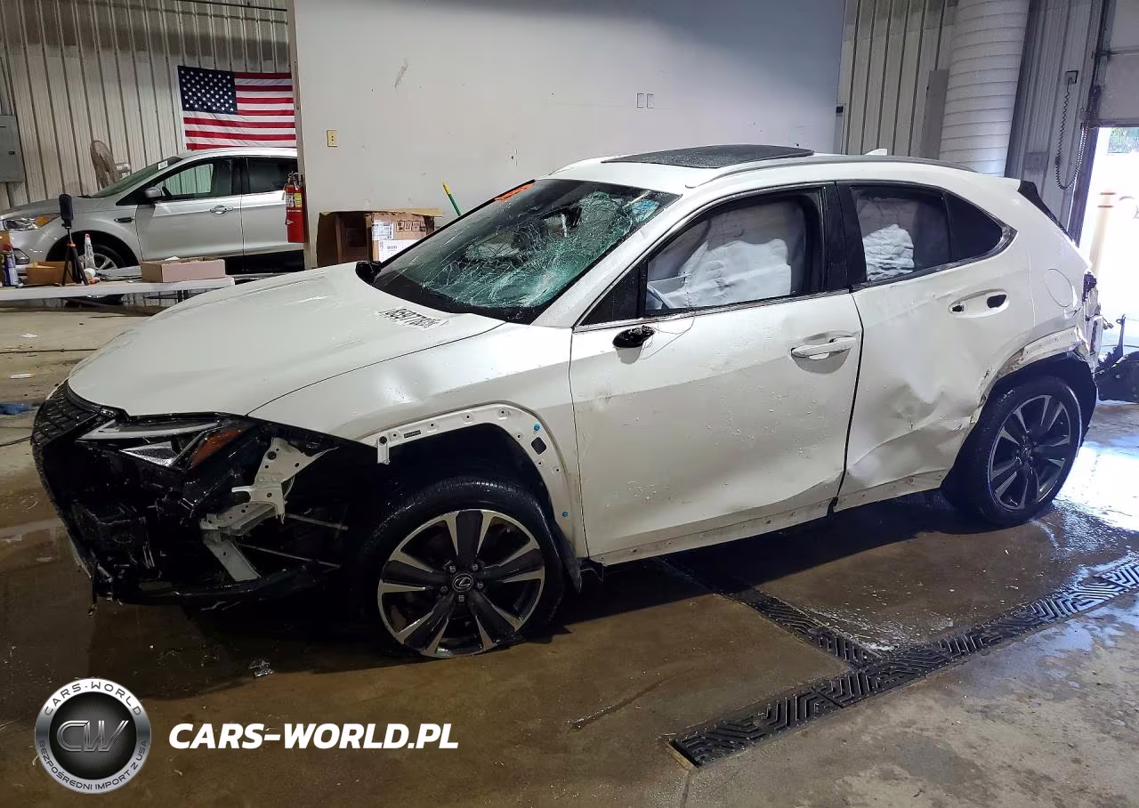 2019 Lexus Ux 200
