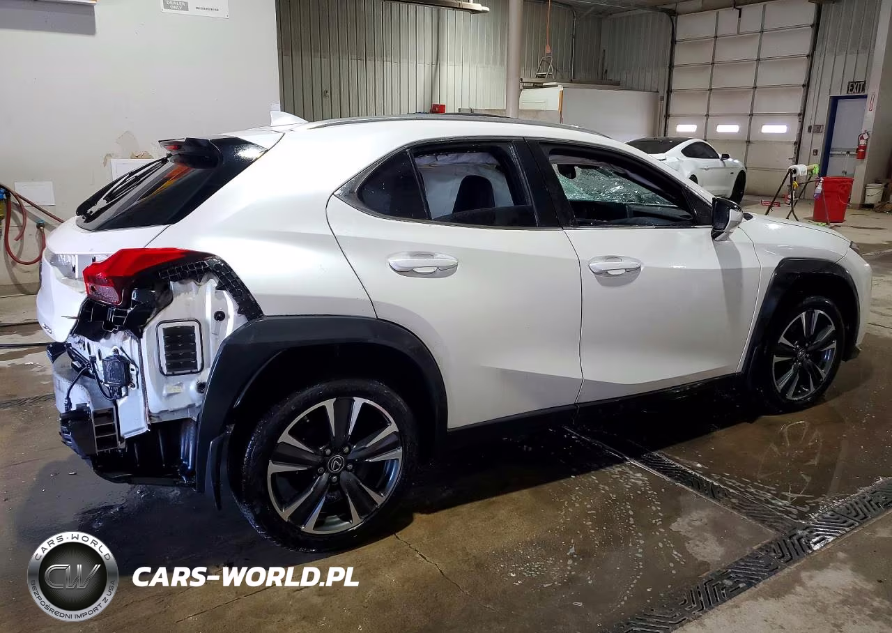 2019 Lexus Ux 200 VIN:JTHY3JBH6K2018415 - 3