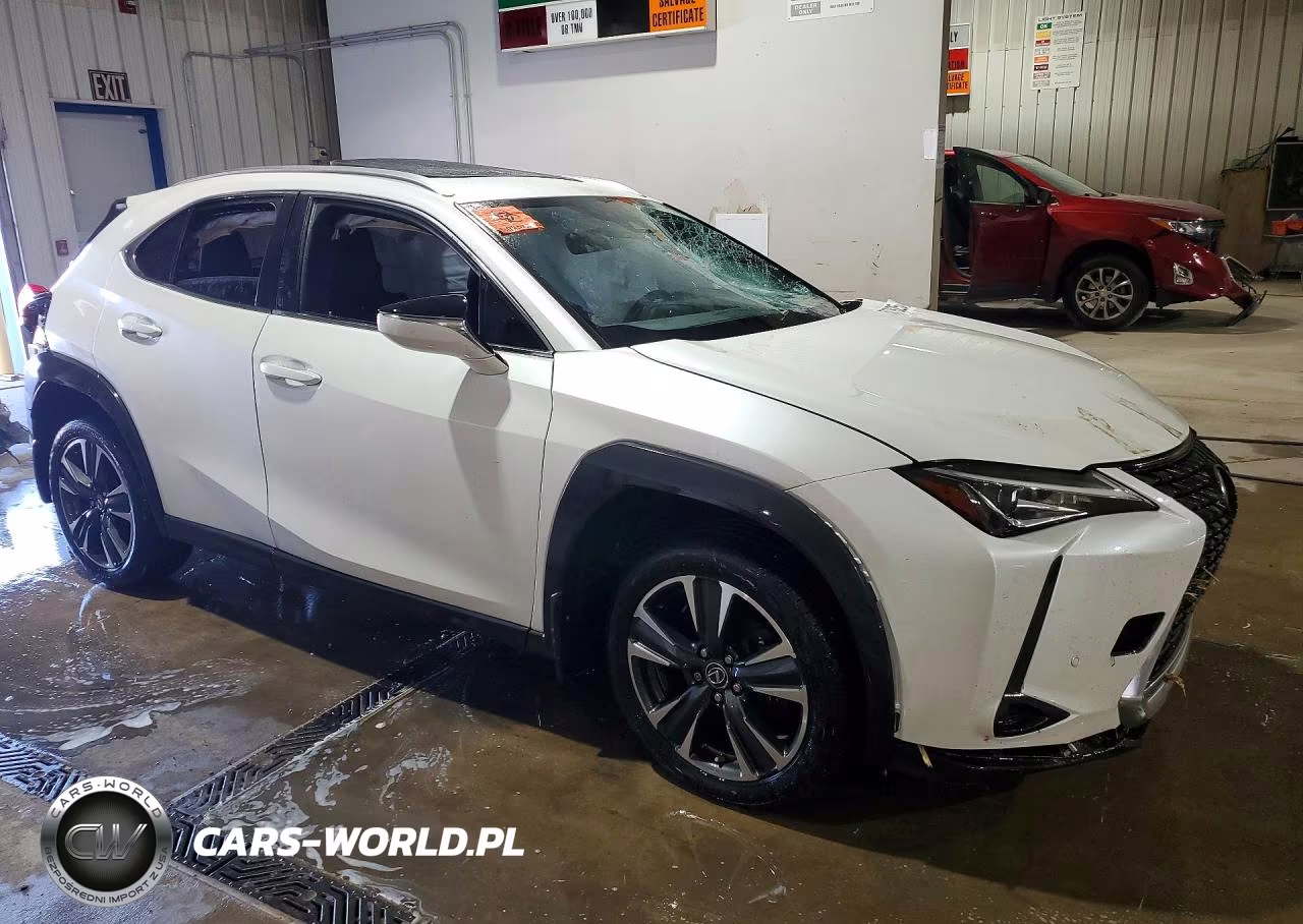 2019 Lexus Ux 200 VIN:JTHY3JBH6K2018415 - 4