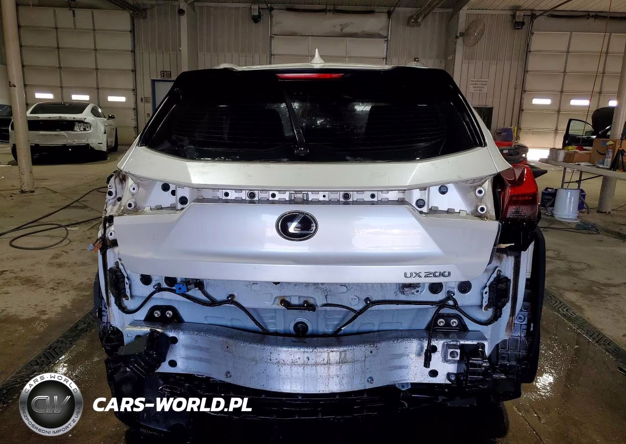 2019 Lexus Ux 200 VIN:JTHY3JBH6K2018415 - 6