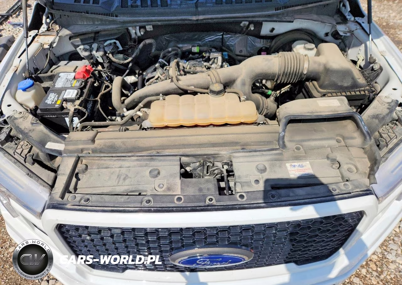 2019 Ford F150 Supercrew VIN:1FTEW1CP3KKC29816 - 11
