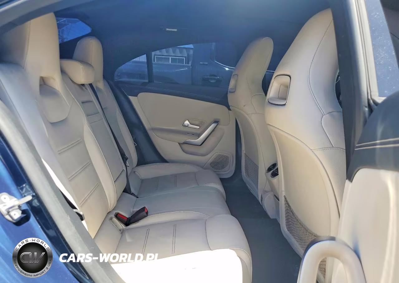 2020 Mercedes-Benz Cla 250 VIN:W1K5J4GB1LN090273 - 10