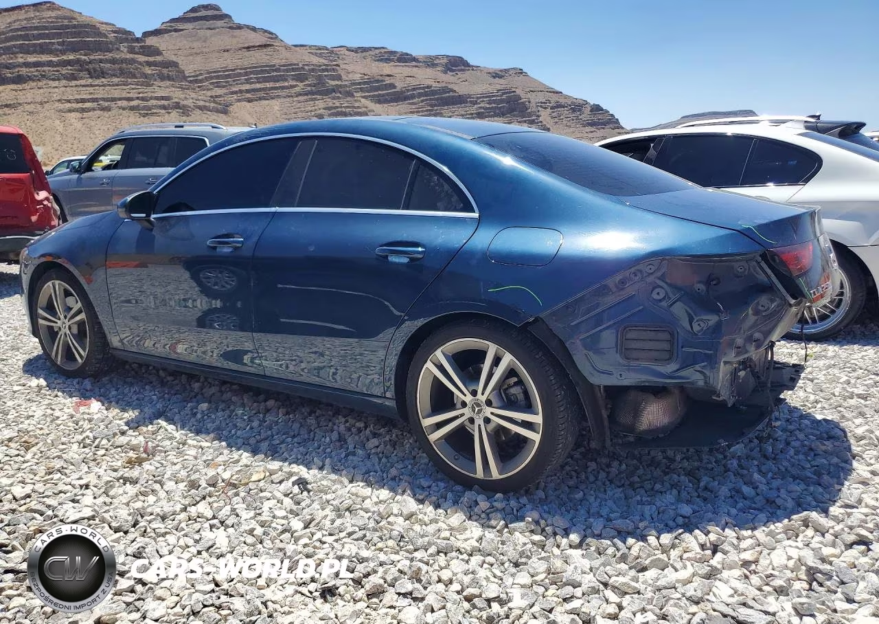 2020 Mercedes-Benz Cla 250 VIN:W1K5J4GB1LN090273 - 2
