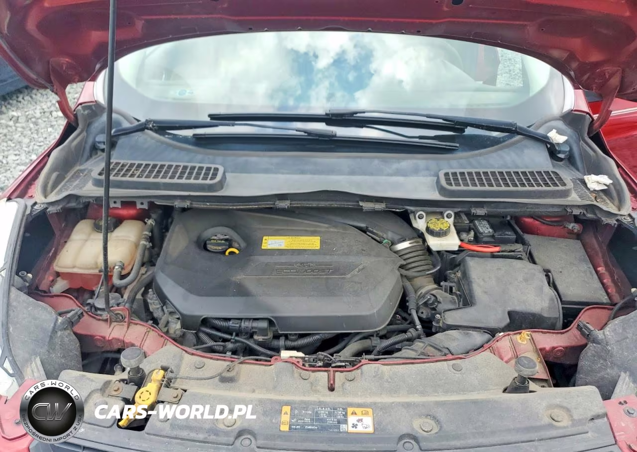 2014 Ford Escape Se VIN:1FMCU0GX3EUB70109 - 12
