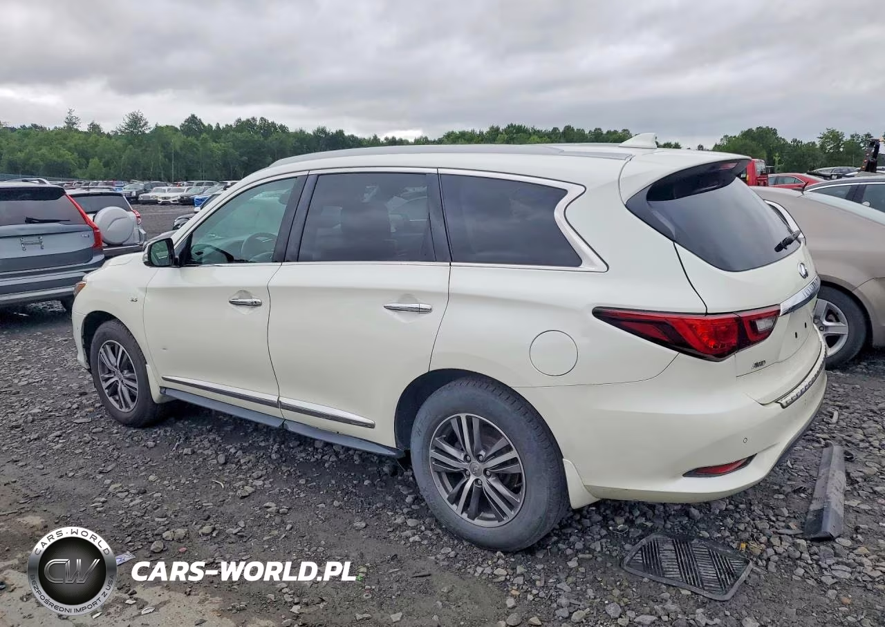 2019 Infiniti Qx60 Luxe VIN:5N1DL0MM9KC563955 - 2