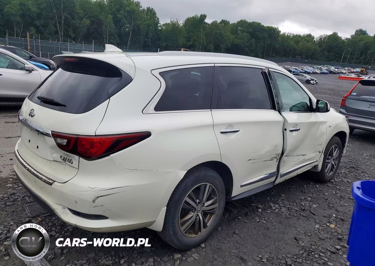 2019 Infiniti Qx60 Luxe VIN:5N1DL0MM9KC563955 - 3