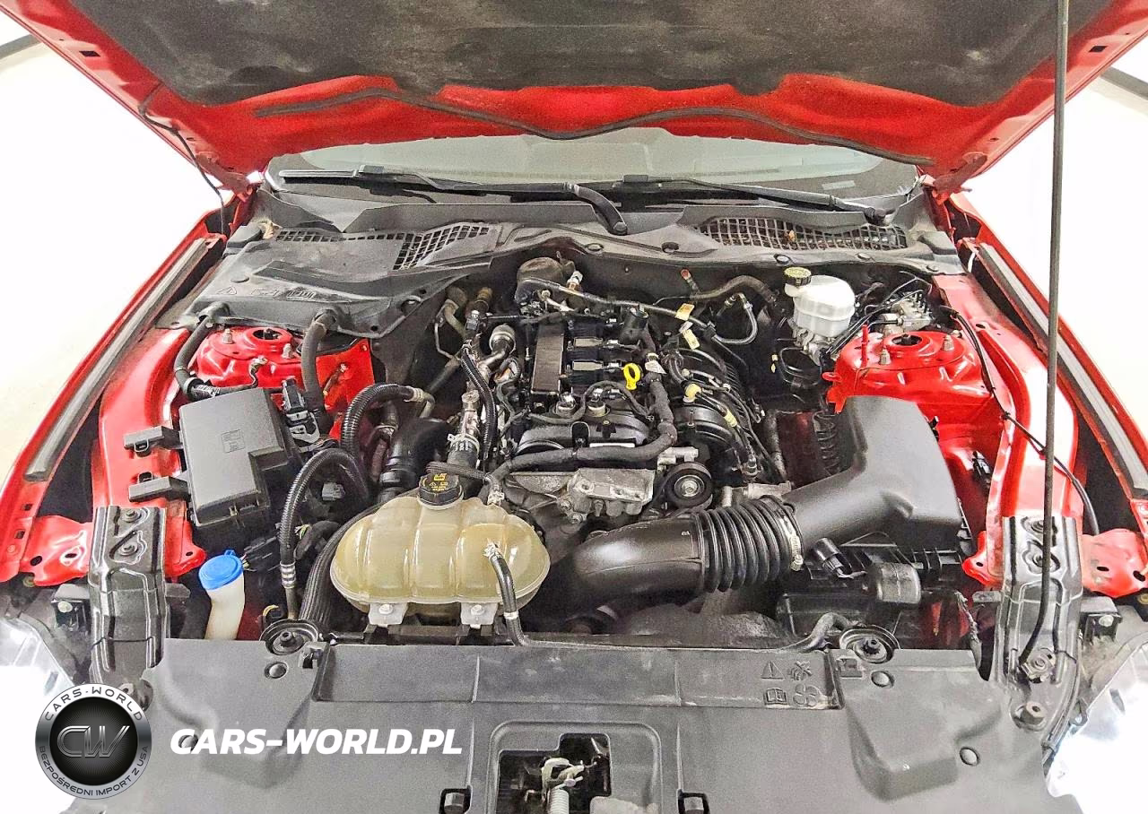 2020 Ford Mustang VIN:1FA6P8THXL5176024 - 11