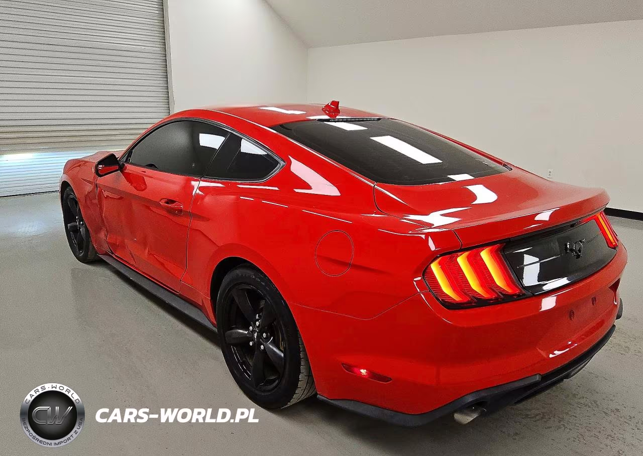 2020 Ford Mustang VIN:1FA6P8THXL5176024 - 2