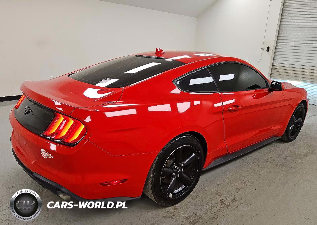 2020 Ford Mustang VIN:1FA6P8THXL5176024 - 3