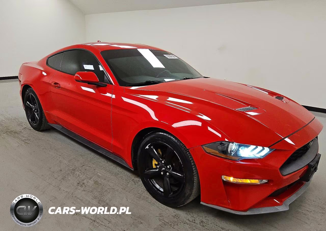 2020 Ford Mustang VIN:1FA6P8THXL5176024 - 4