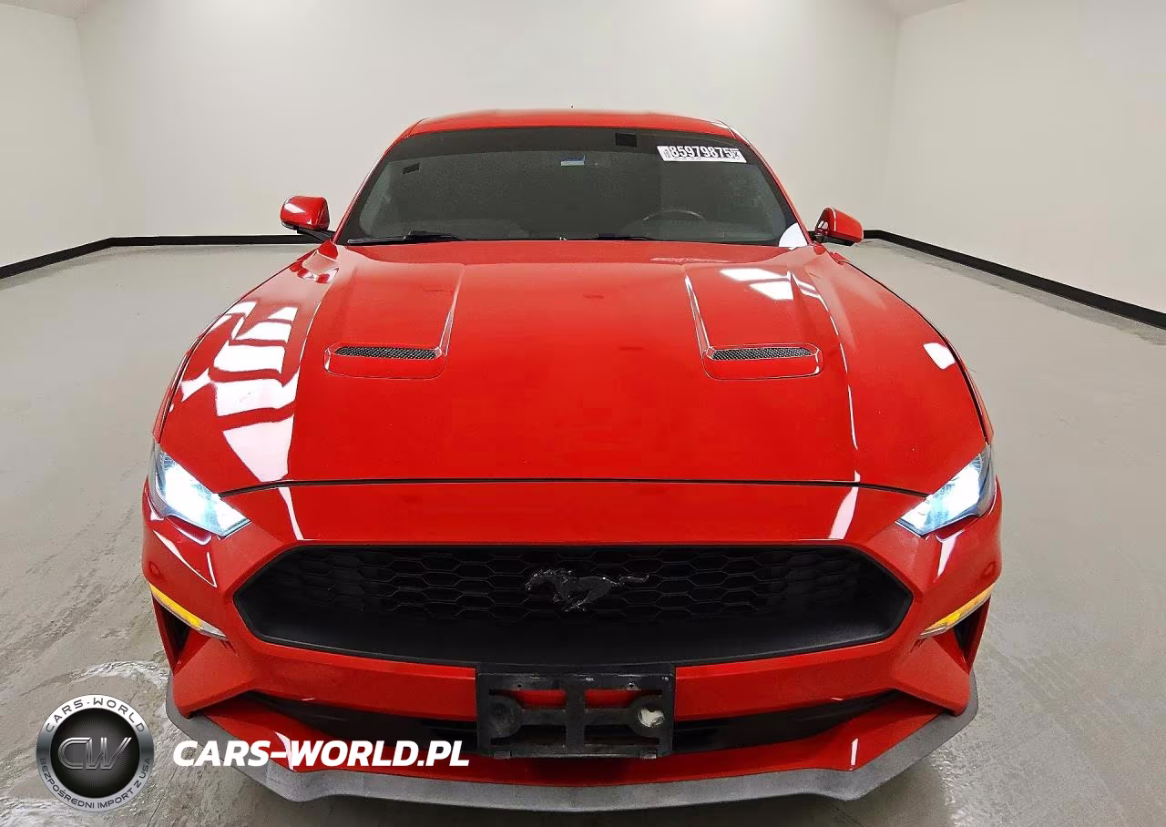 2020 Ford Mustang VIN:1FA6P8THXL5176024 - 5