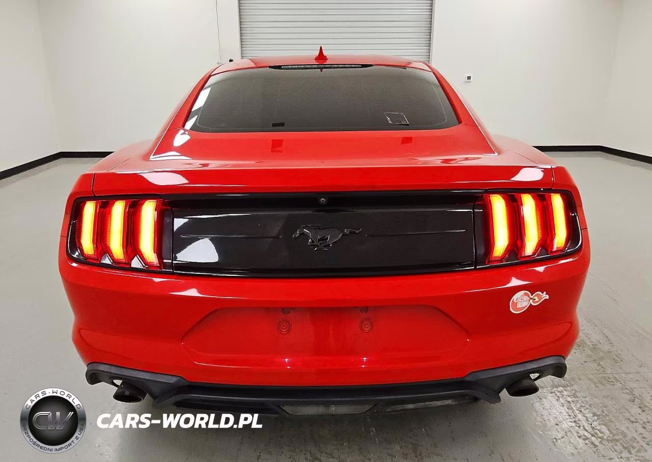 2020 Ford Mustang VIN:1FA6P8THXL5176024 - 6