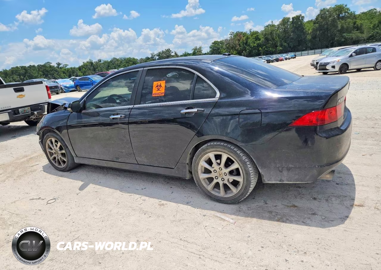 2006 Acura Tsx VIN:JH4CL968X6C014242 - 2