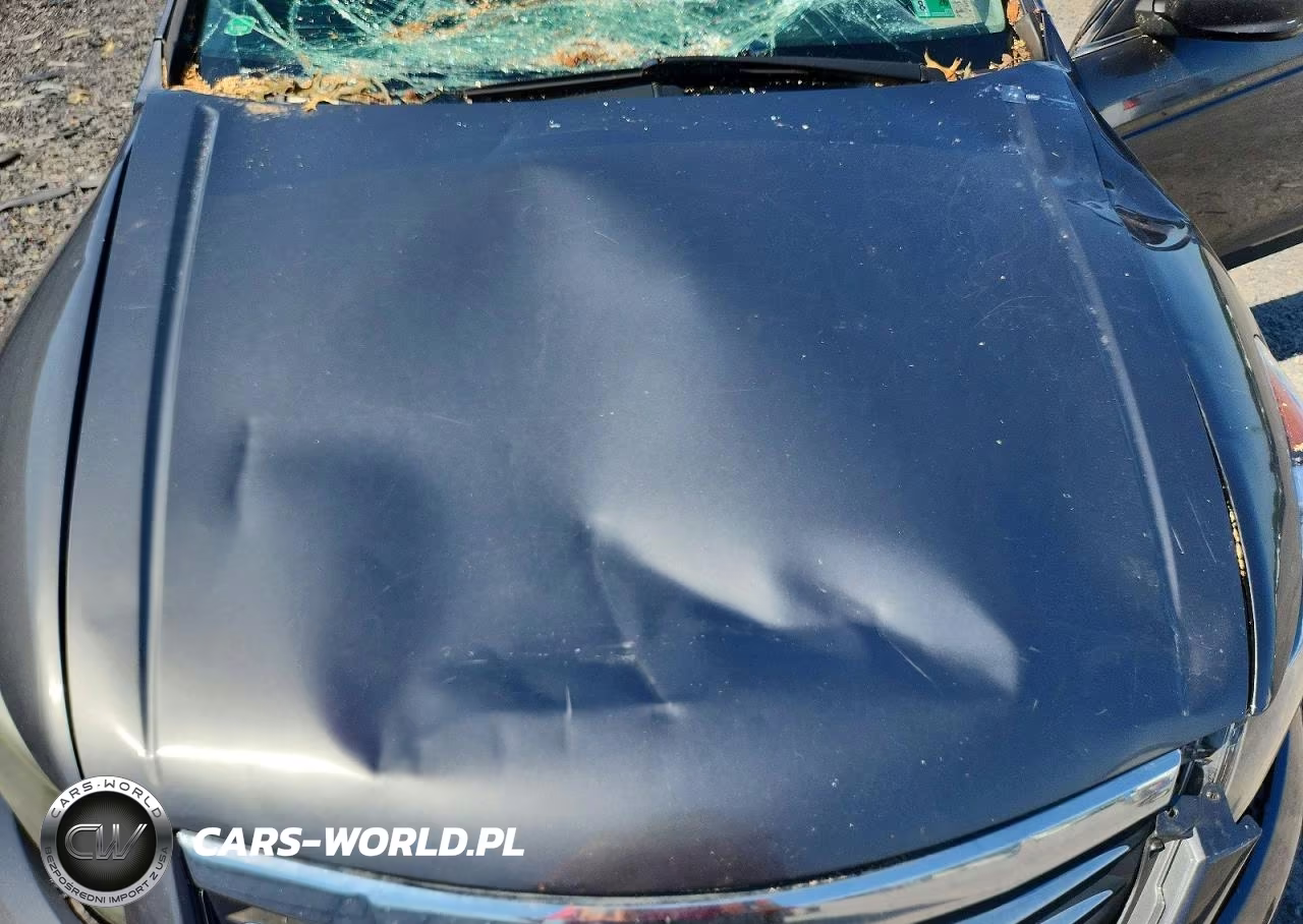 2012 Honda Accord Lxp VIN:1HGCP2F48CA226334 - 11