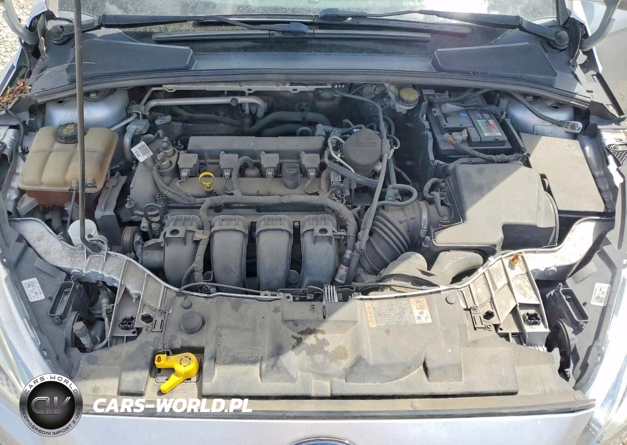 2016 Ford Focus Se VIN:1FADP3F21GL272465 - 11