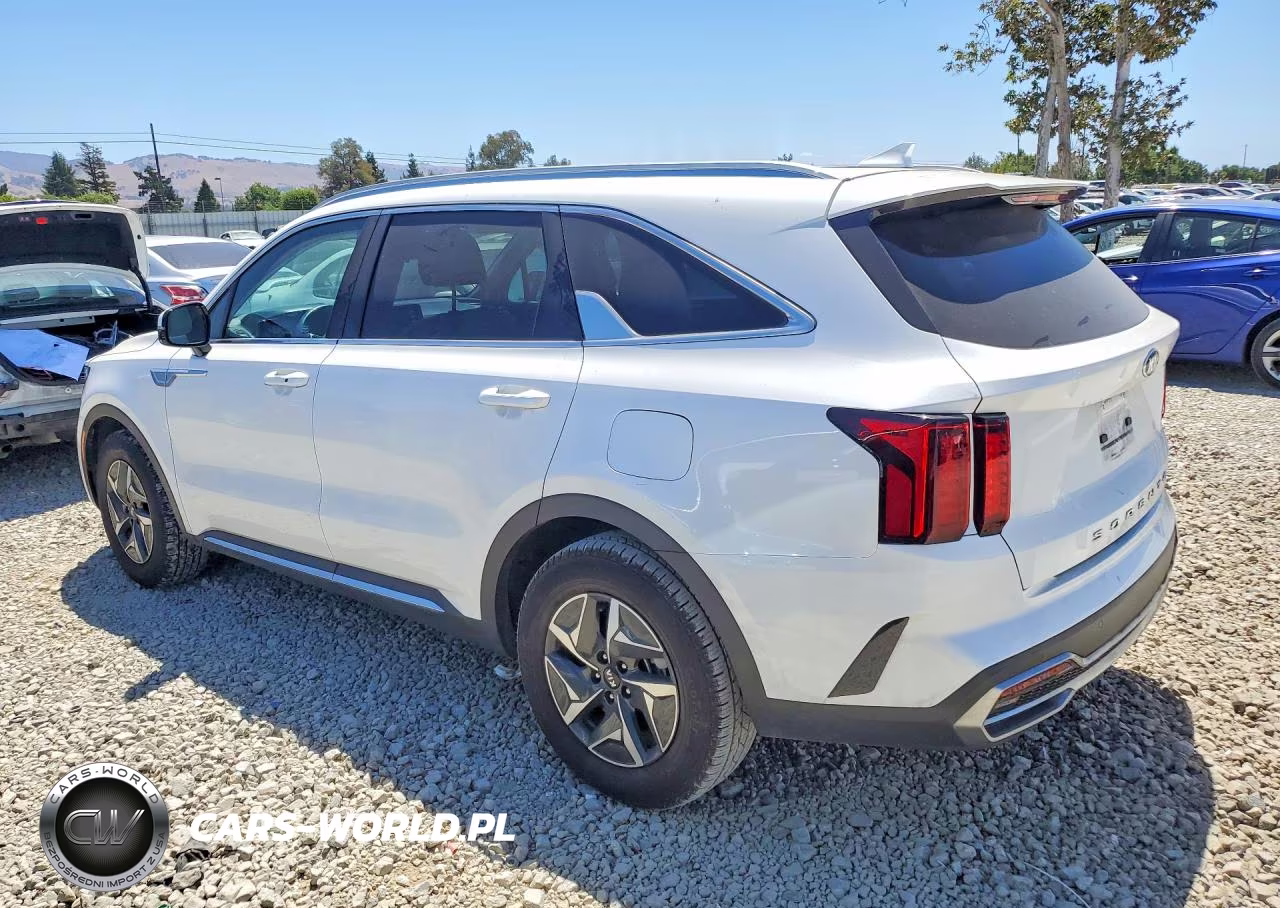 2021 Kia Sorento Ex VIN:KNDRH4LG7M5033313 - 2