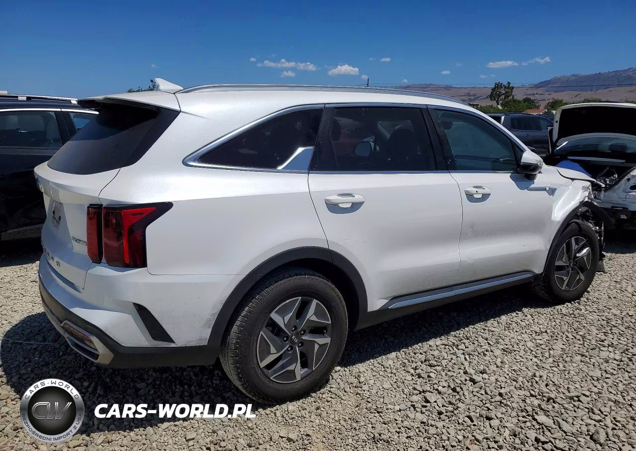 2021 Kia Sorento Ex VIN:KNDRH4LG7M5033313 - 3