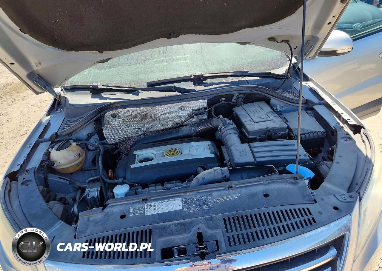 2010 Volkswagen Tiguan Se VIN:WVGBV7AX6AW523838 - 11
