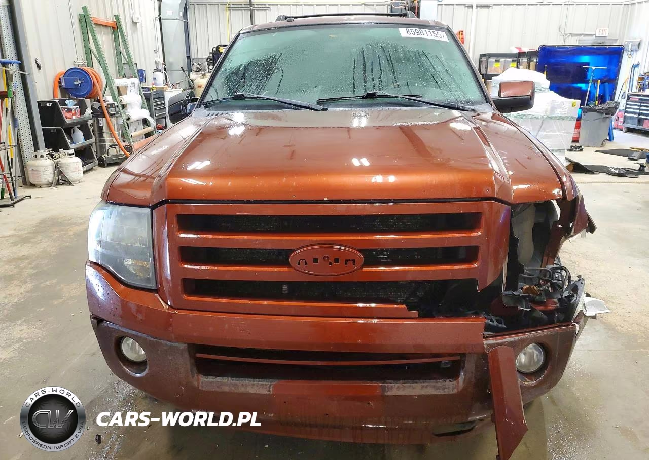 2008 Ford Expedition Limited VIN:1FMFU205X8LA34989 - 5