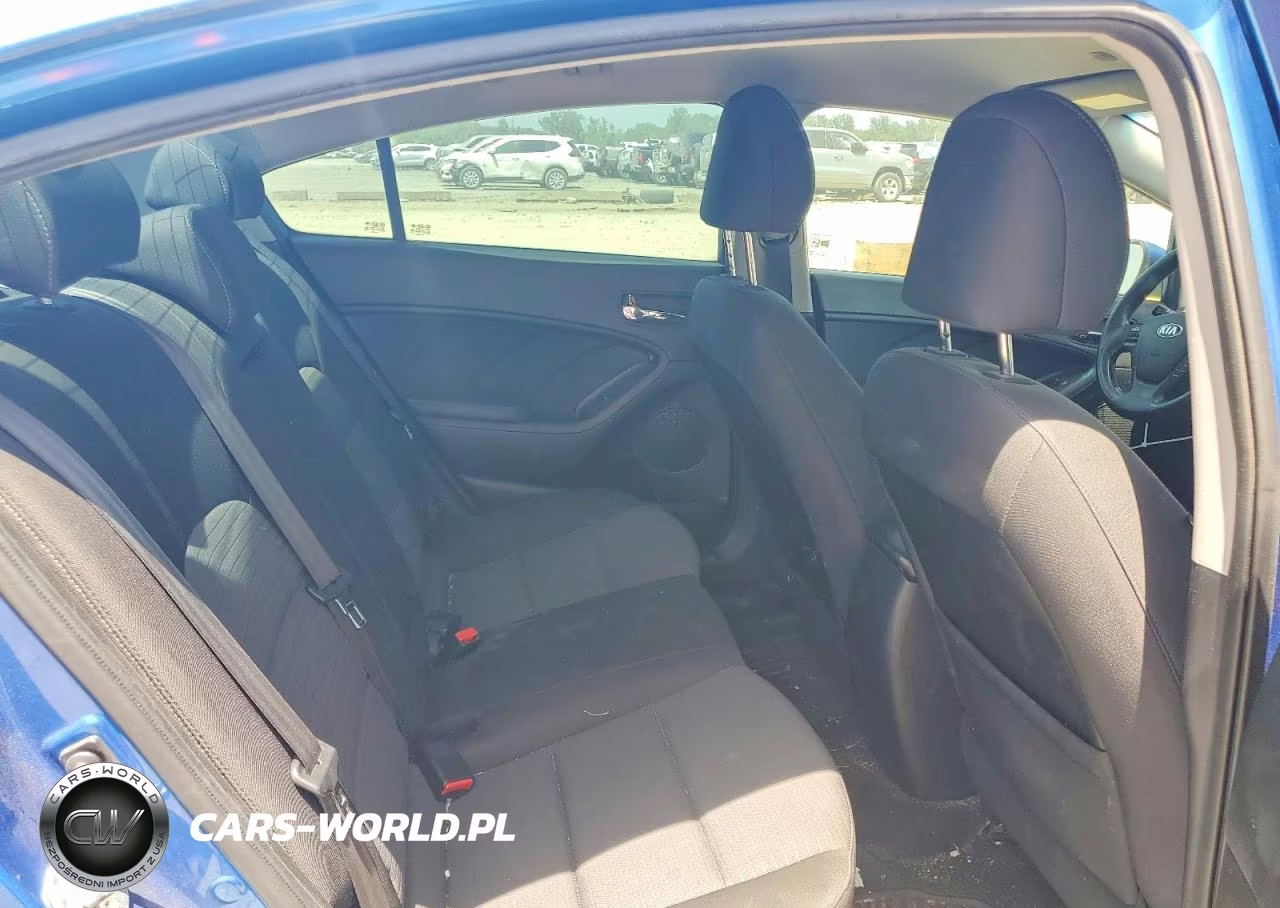 2014 Kia Forte Lx VIN:KNAFX4A65E5219866 - 10