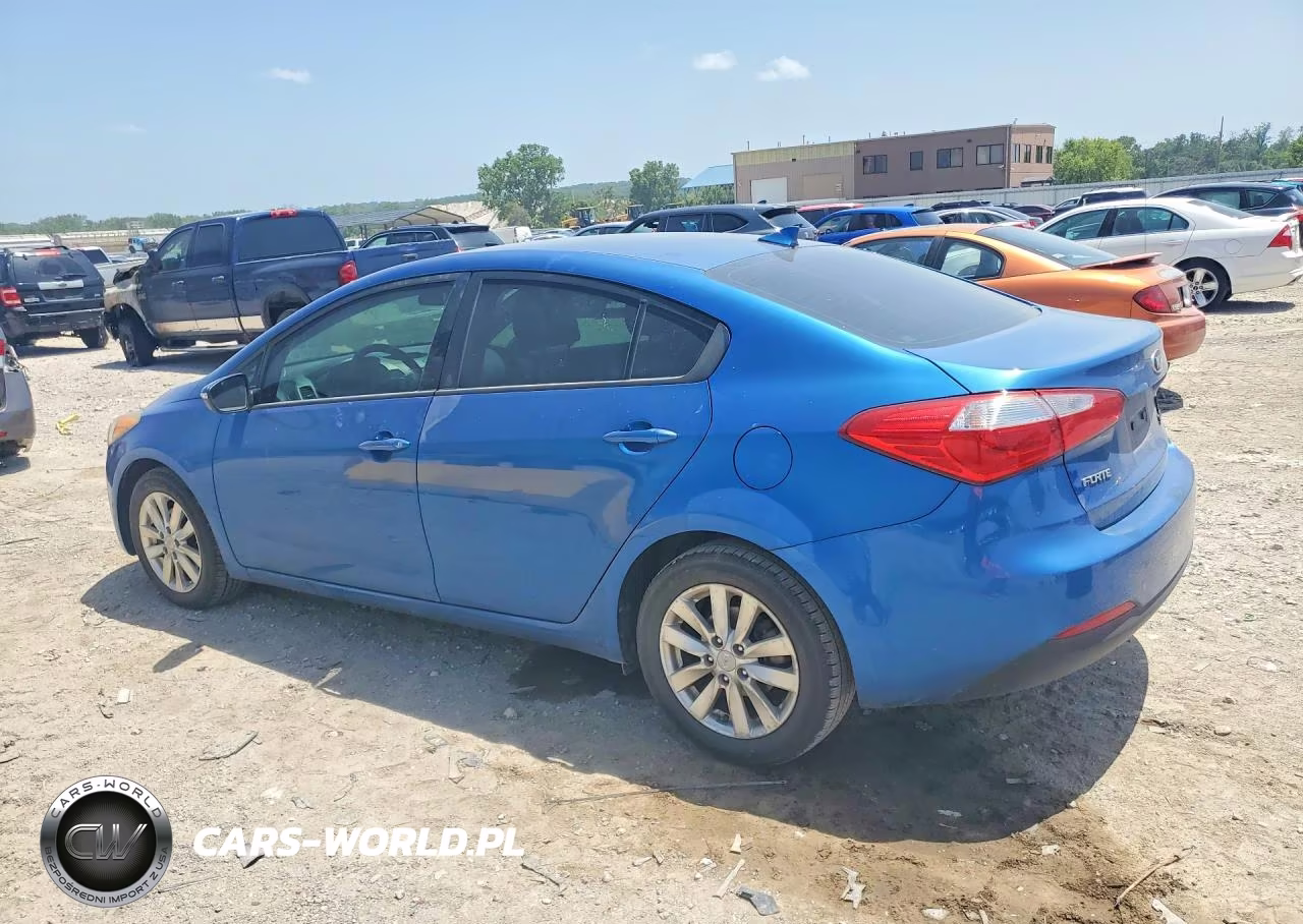 2014 Kia Forte Lx VIN:KNAFX4A65E5219866 - 2