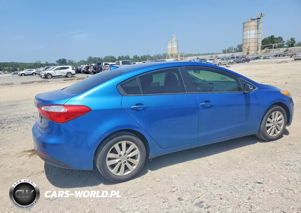 2014 Kia Forte Lx VIN:KNAFX4A65E5219866 - 3