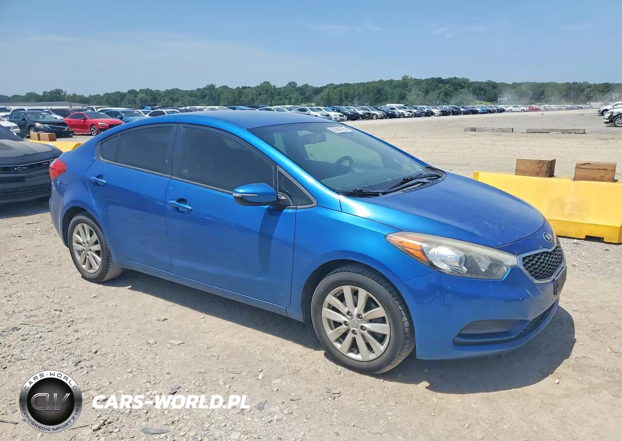 2014 Kia Forte Lx VIN:KNAFX4A65E5219866 - 4