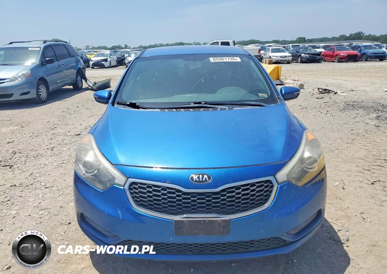 2014 Kia Forte Lx VIN:KNAFX4A65E5219866 - 5