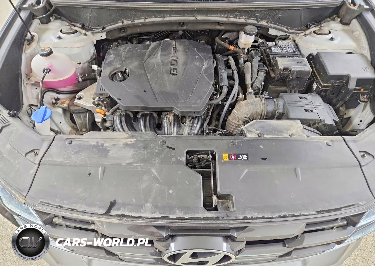 2025 Hyundai Tucson Sel VIN:5NMJB3DE1SH509118 - 12
