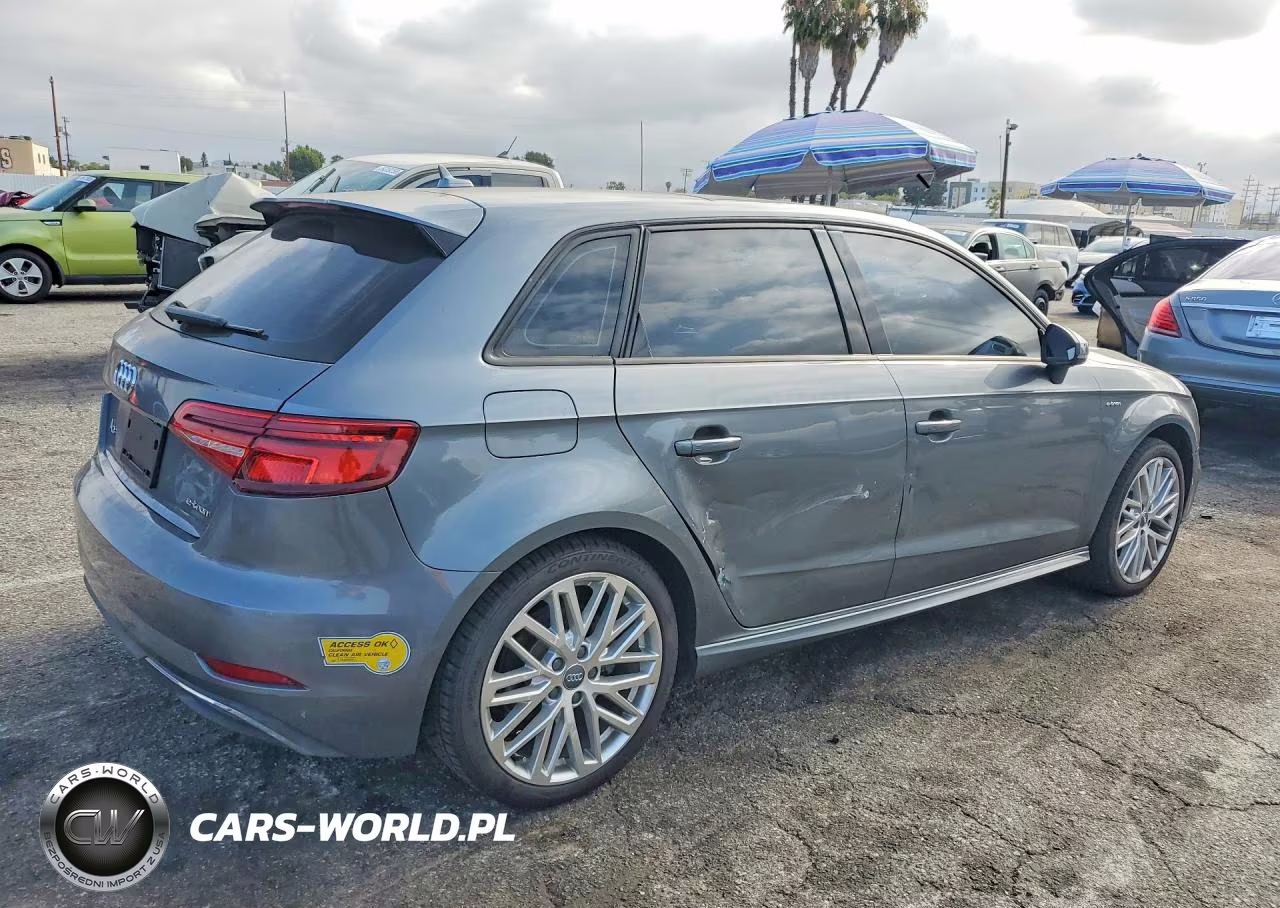 2018 Audi A3 E-Tron Premium VIN:WAUUPBFF5JA067934 - 3