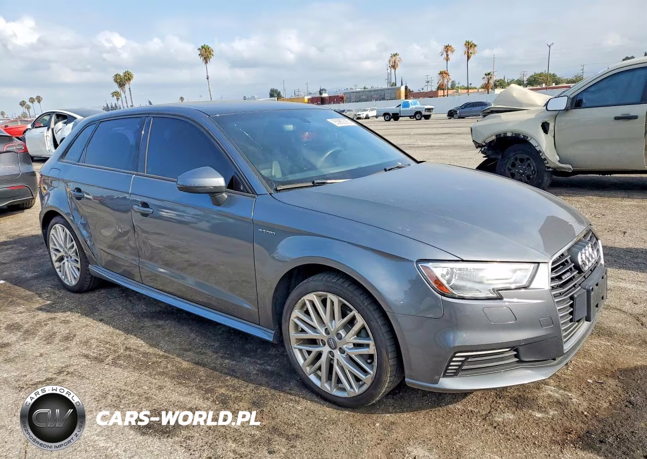 2018 Audi A3 E-Tron Premium VIN:WAUUPBFF5JA067934 - 4