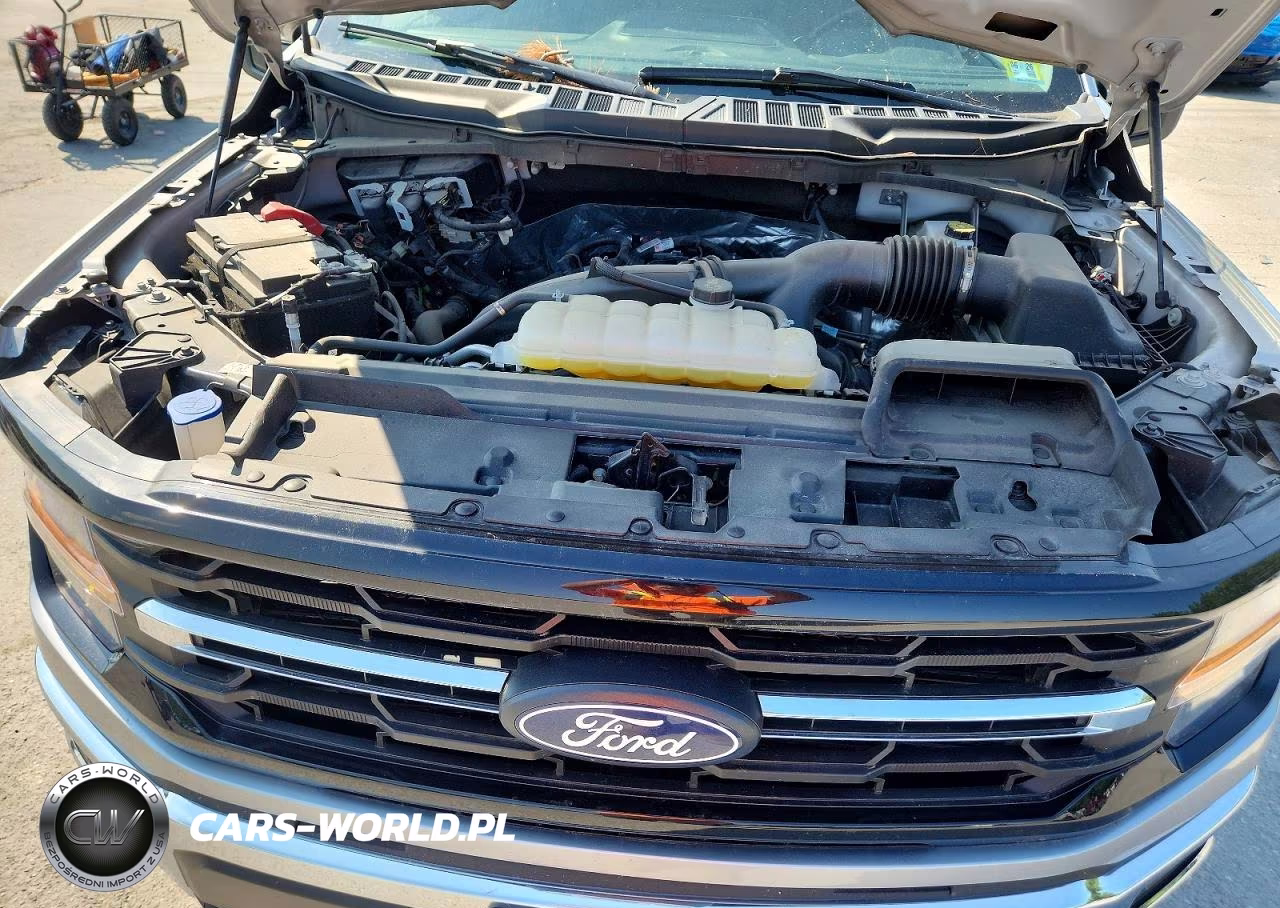 2025 Ford F150 Xlt VIN:1FTEW3LP5SKE14655 - 11