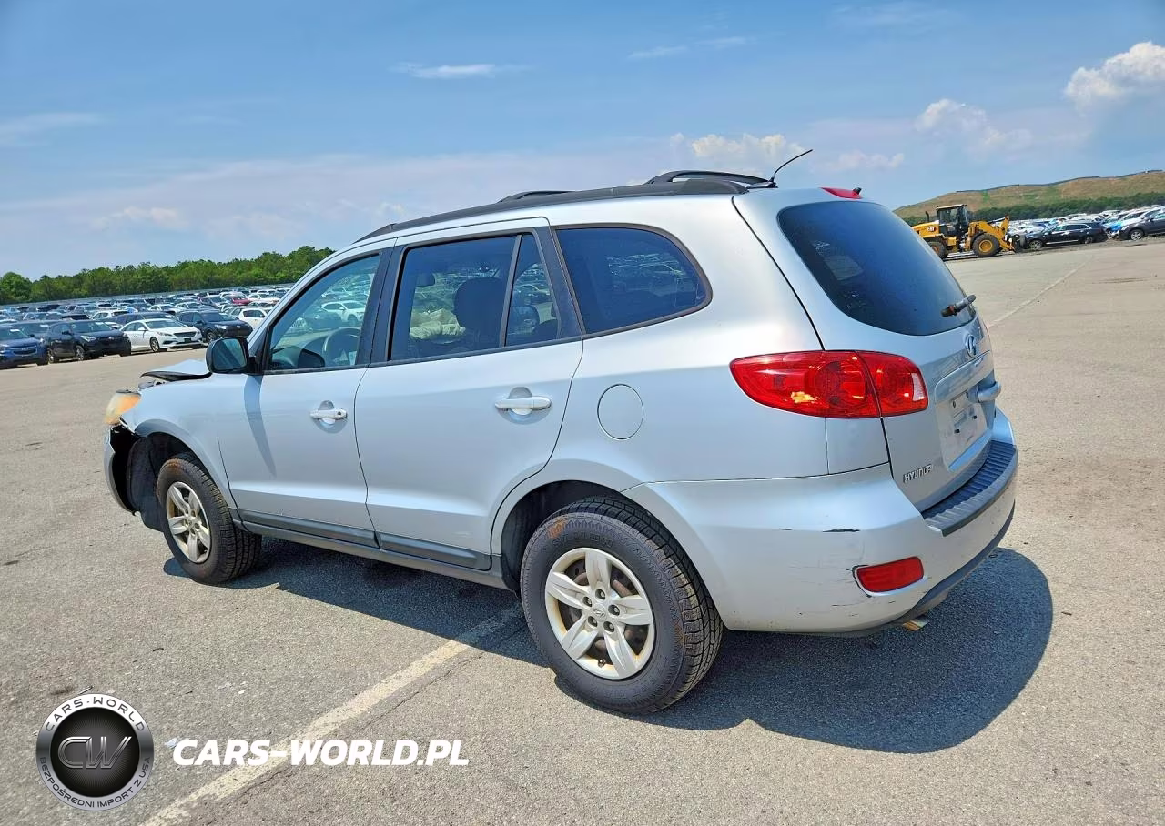 2009 Hyundai Santa Fe Gls VIN:5NMSG13DX9H311960 - 2