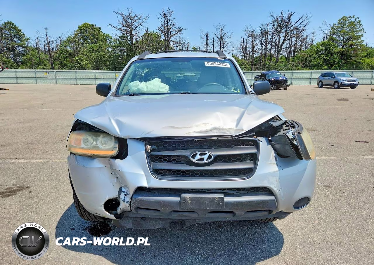 2009 Hyundai Santa Fe Gls VIN:5NMSG13DX9H311960 - 5
