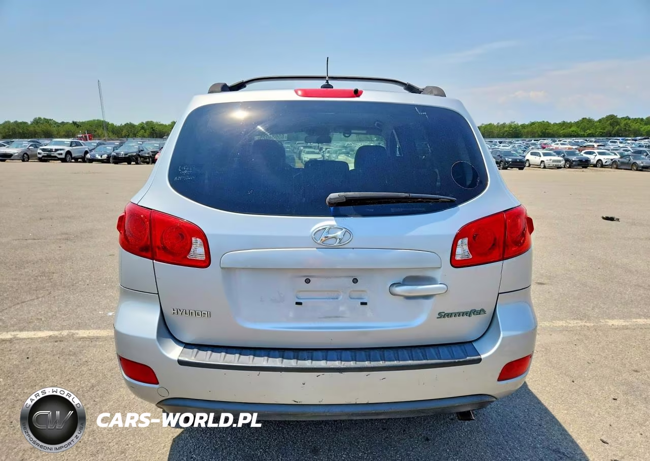 2009 Hyundai Santa Fe Gls VIN:5NMSG13DX9H311960 - 6