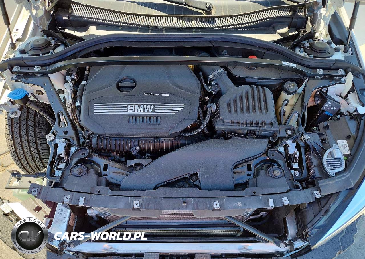 2021 BMW 228Xi VIN:WBA73AK00M7G52204 - 11