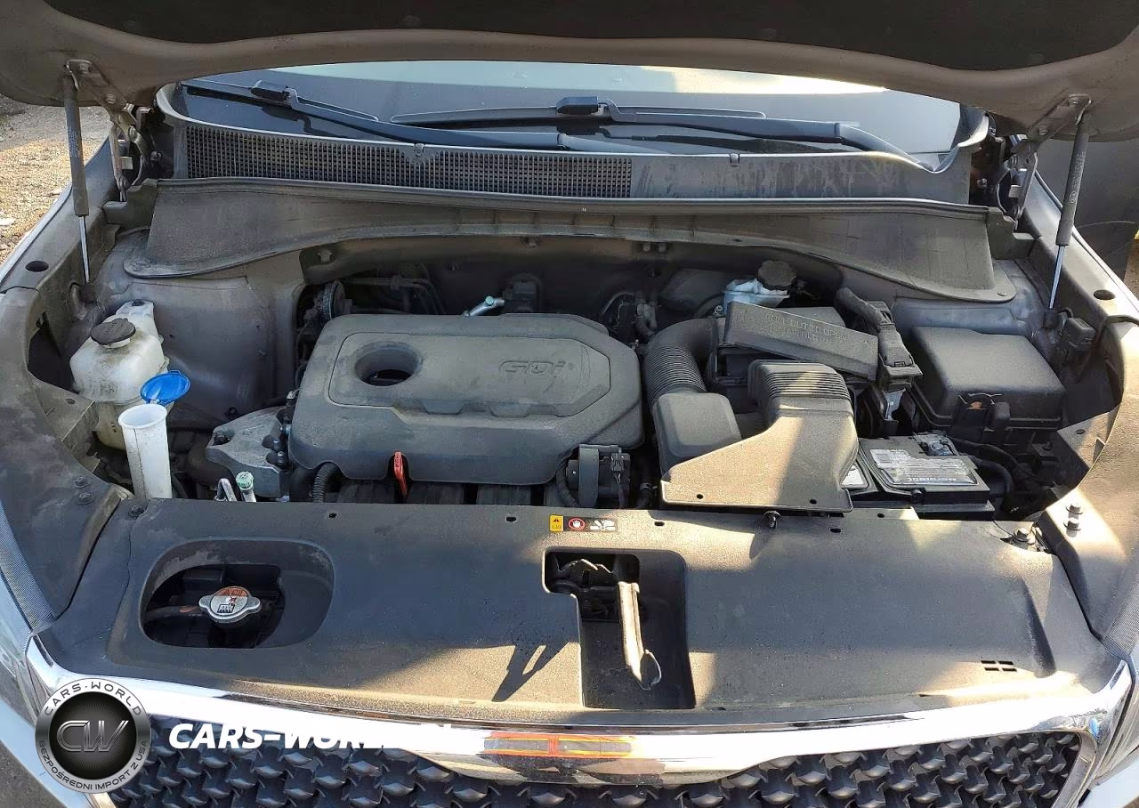 2017 Kia Sorento Lx VIN:5XYPGDA36HG330192 - 12