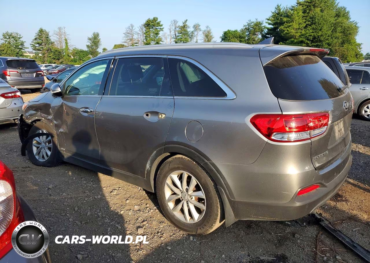 2017 Kia Sorento Lx VIN:5XYPGDA36HG330192 - 2