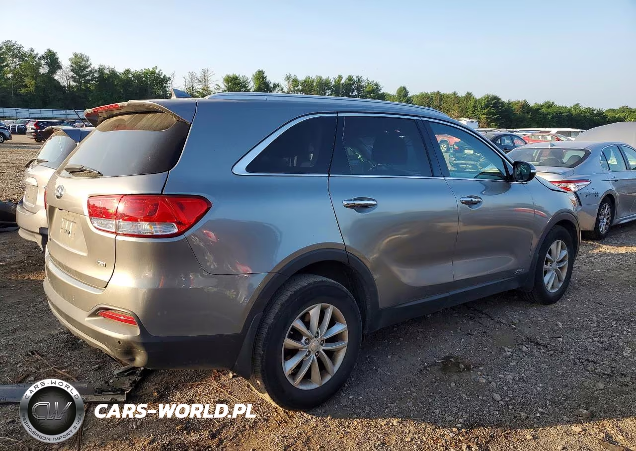 2017 Kia Sorento Lx VIN:5XYPGDA36HG330192 - 3