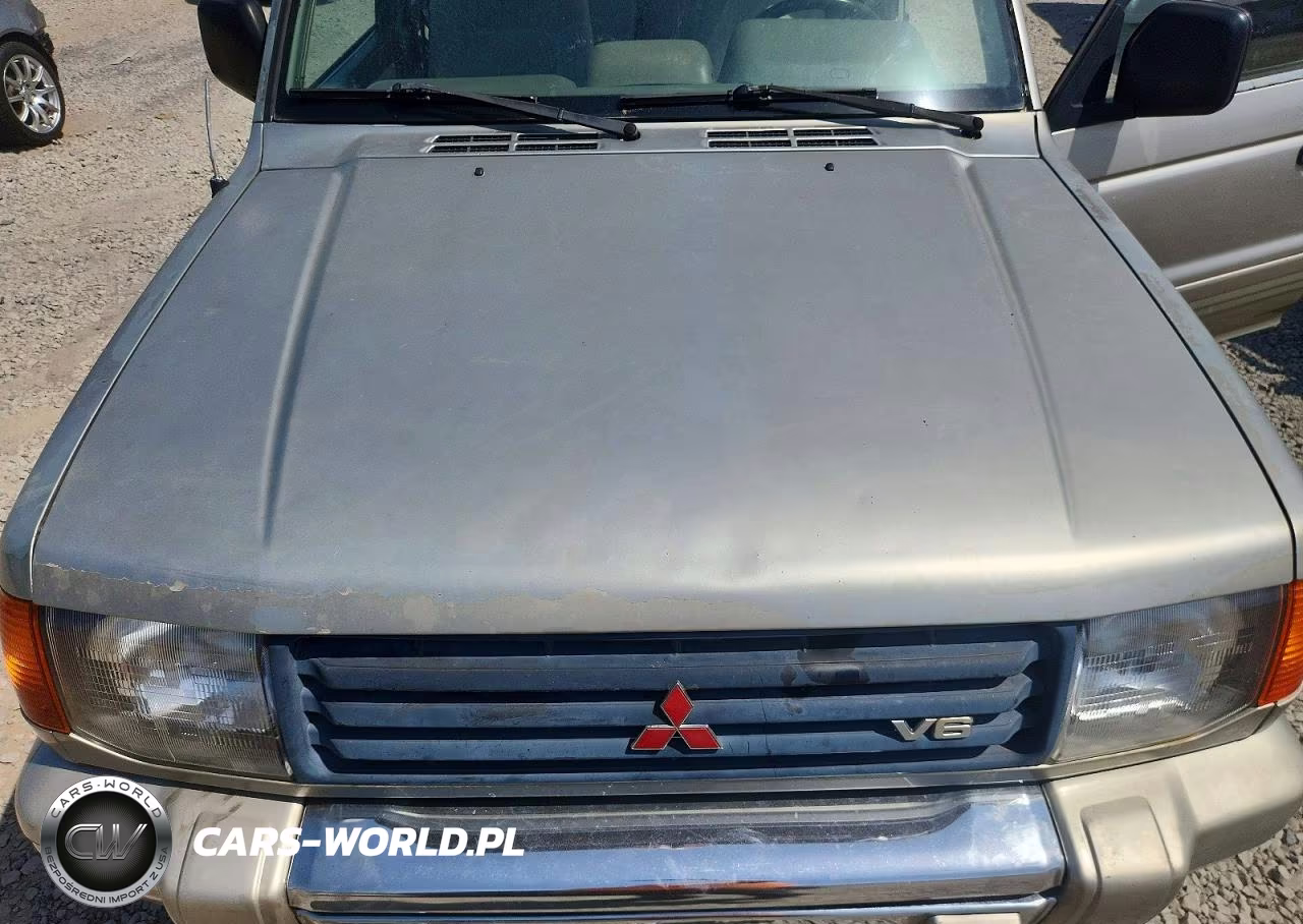 1996 Mitsubishi Montero VIN:JA4MR41H6TJ001293 - 12