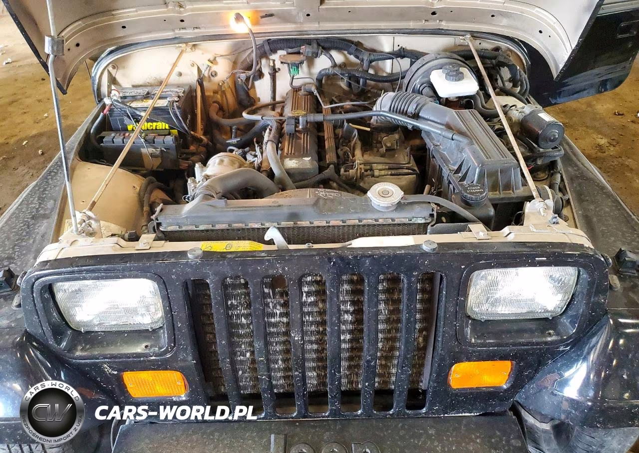 1993 Jeep Wrangler - Yj Sahara VIN:1J4FY49S7PP202716 - 11