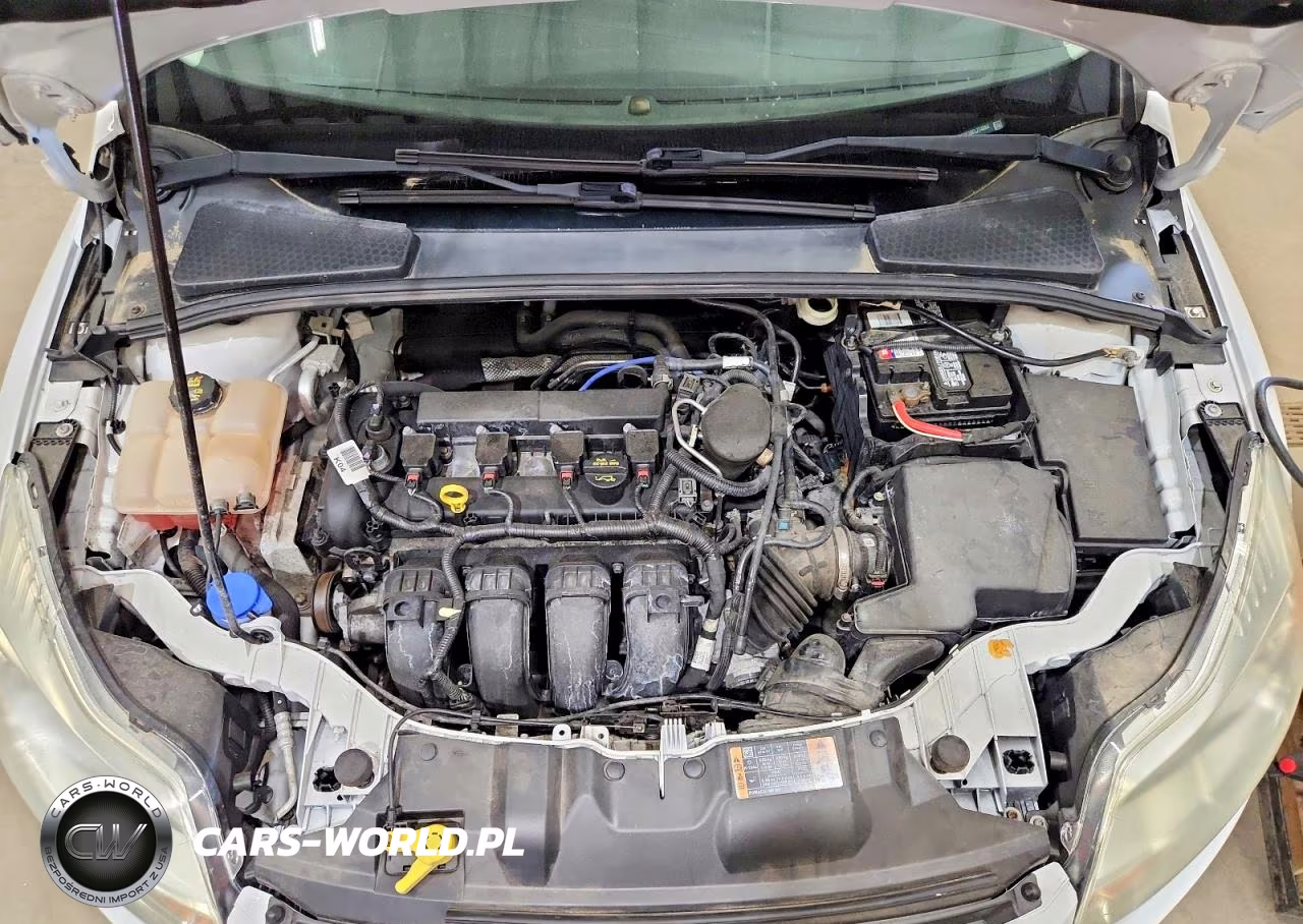 2014 Ford Focus Se VIN:1FADP3F20EL274284 - 11