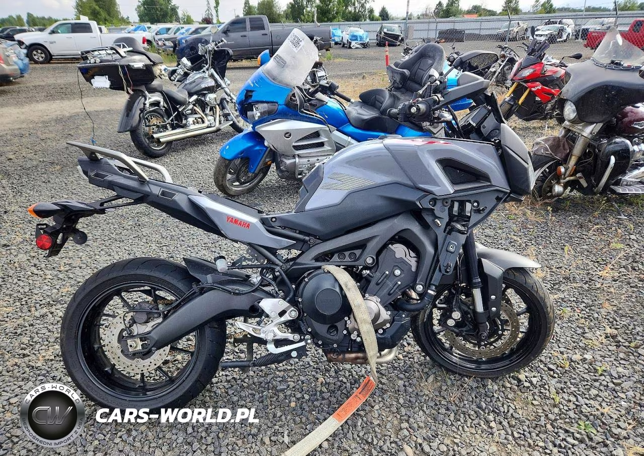 2019 Yamaha Mtt09 C