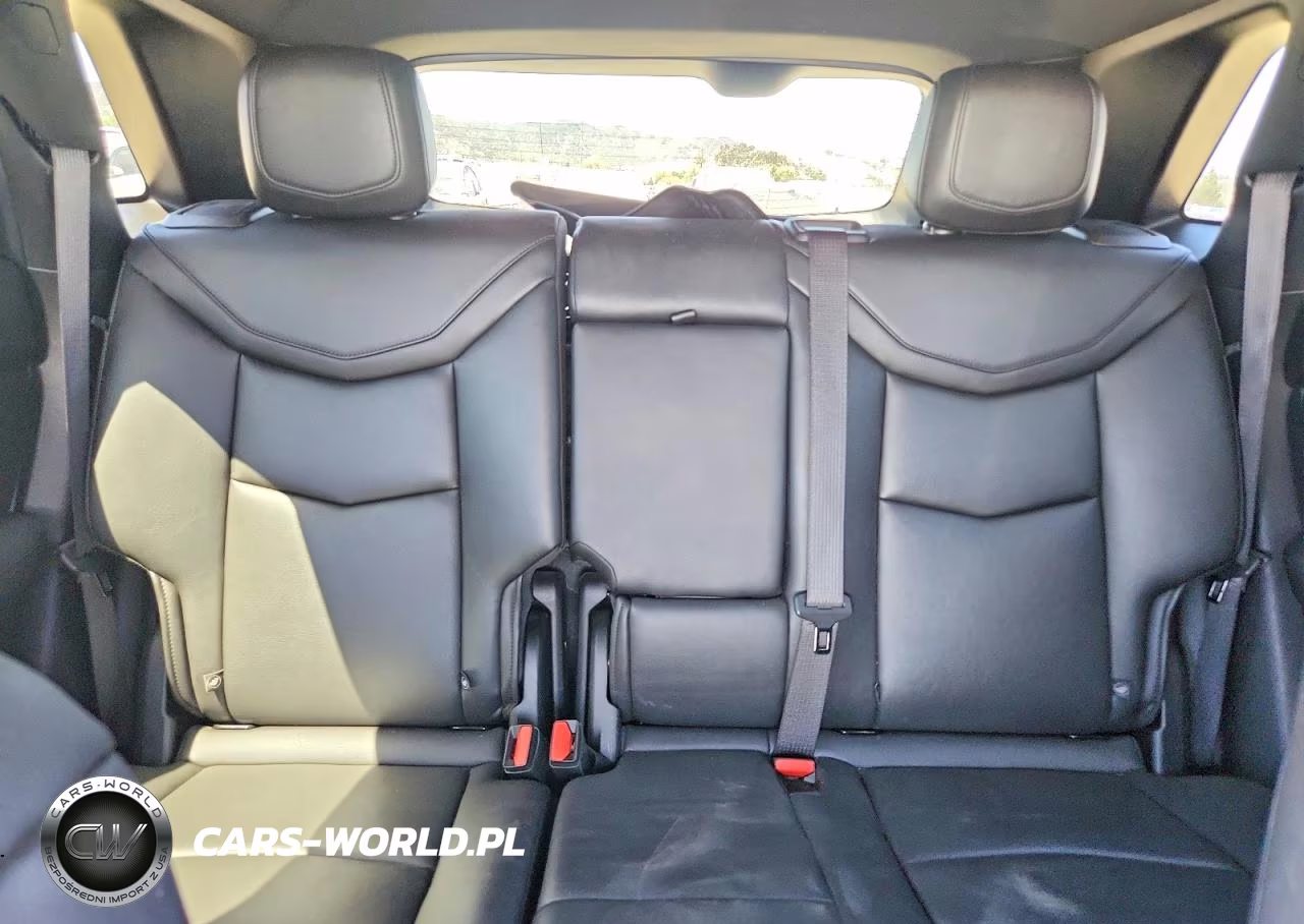 2020 Cadillac Xt5 Luxury VIN:1GYKNAR43LZ223777 - 10