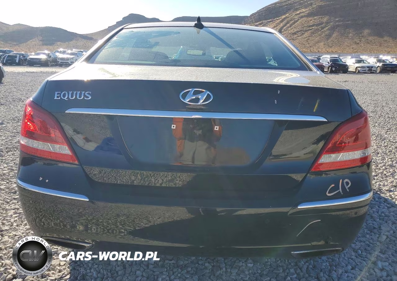 2013 Hyundai Equus Ultimate VIN:KMHGH4JH5DU065956 - 6
