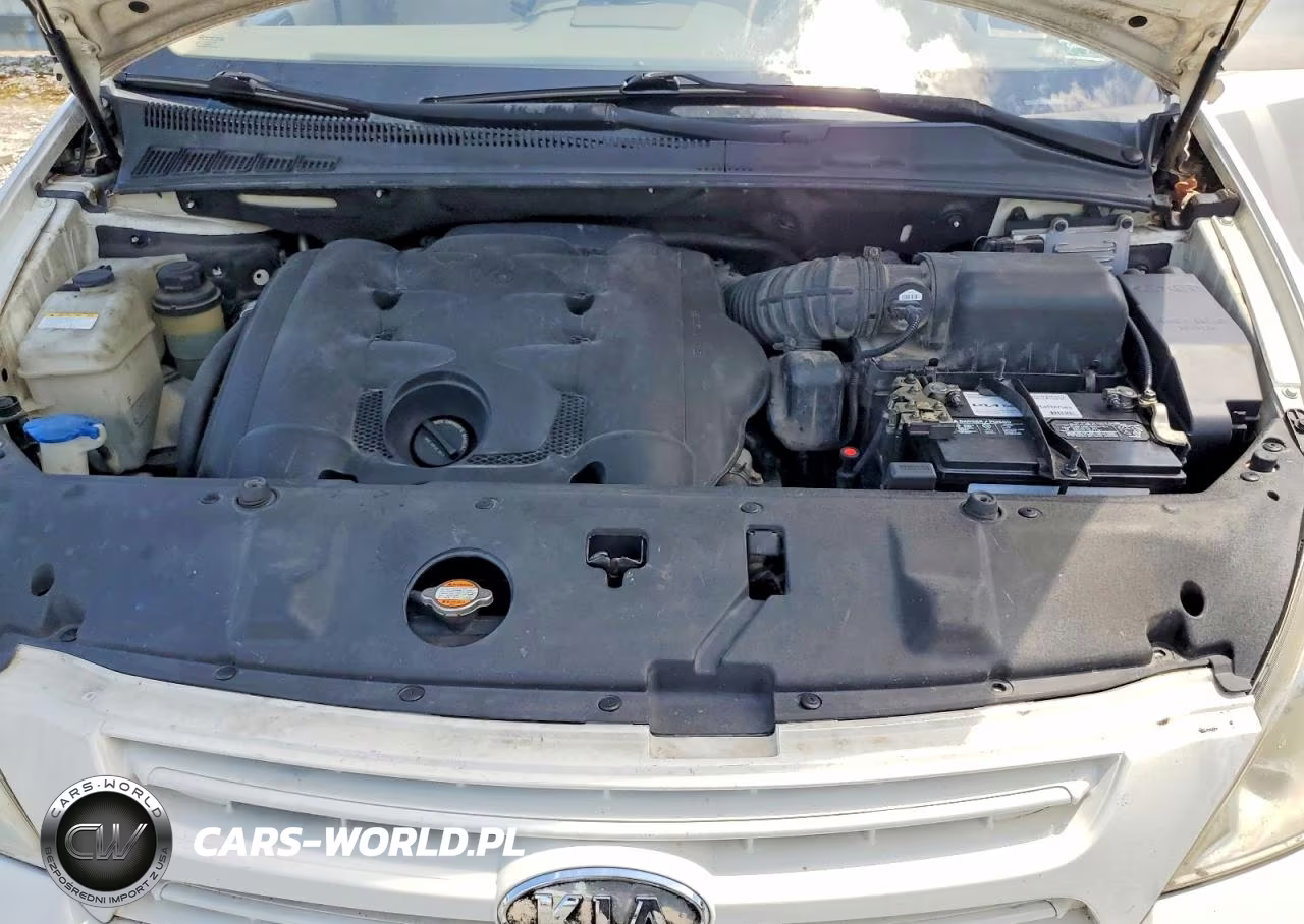 2008 Kia Sedona Lx VIN:KNDMB233486236902 - 12