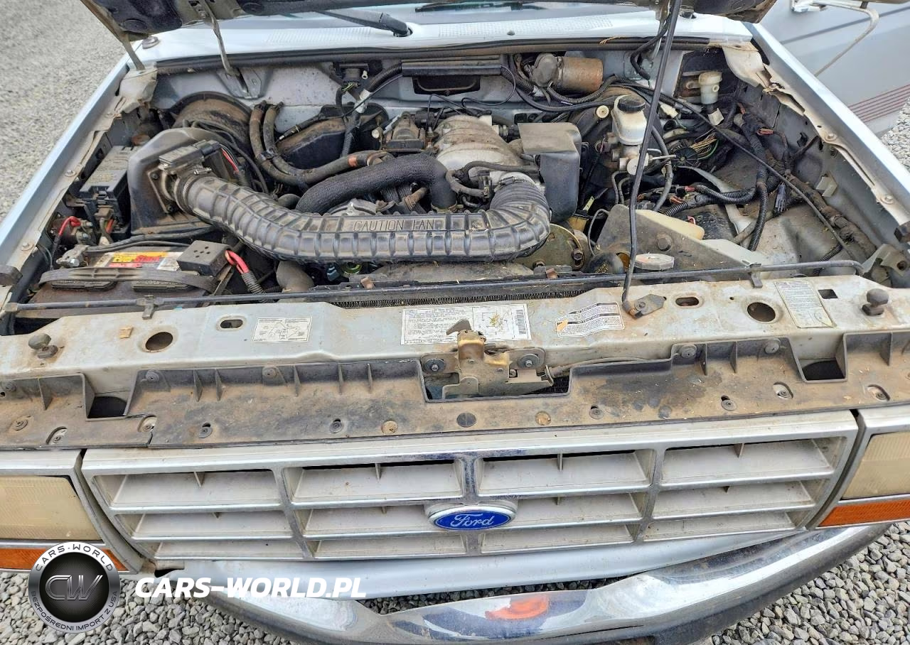 1991 Ford Ranger Super Cab VIN:1FTCR14U1MPA46777 - 11